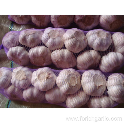 Best Quality Normal White Garlic Braids